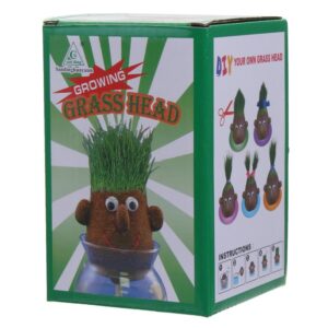 Fun growing grass head