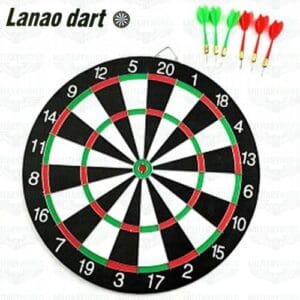 Professional Dart Board
